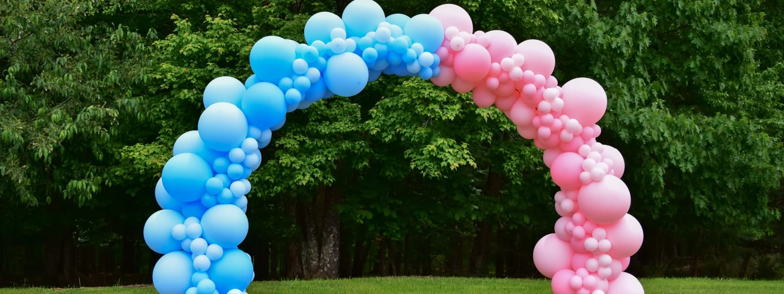 Balloon Arches Wheaton IL 1 Balloon arches Wheaton IL